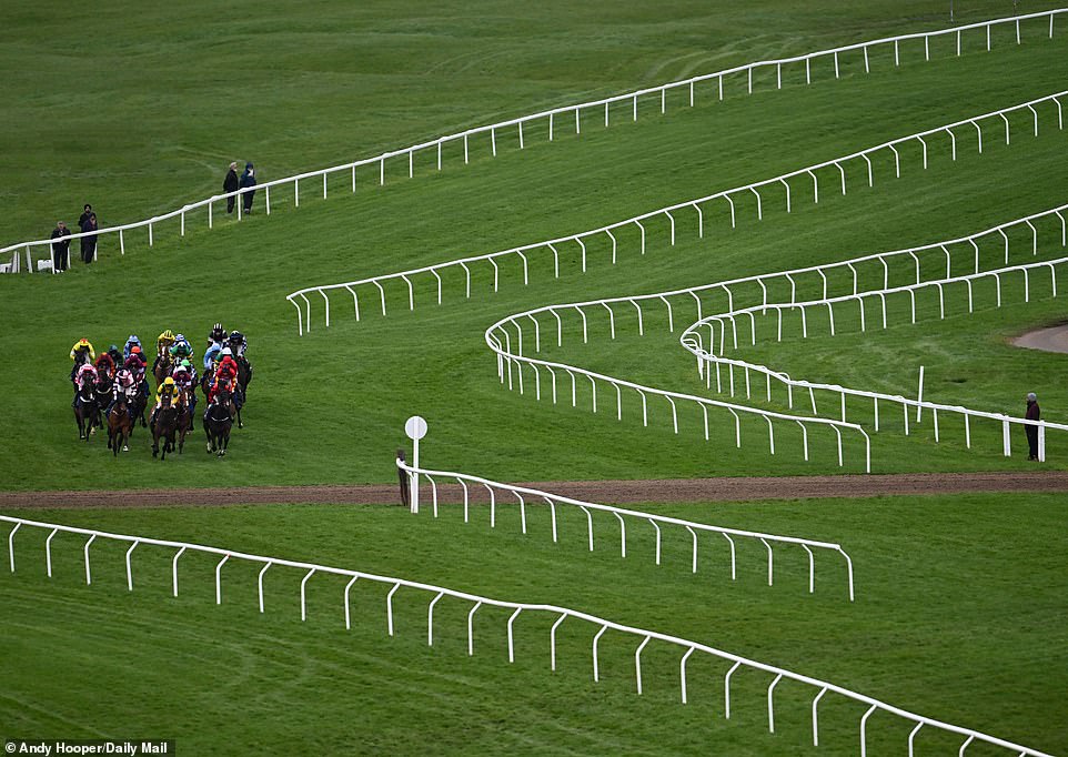 A photo of a race taking place at the Festival, with around 280,000 people attending Cheltenham over the four days
