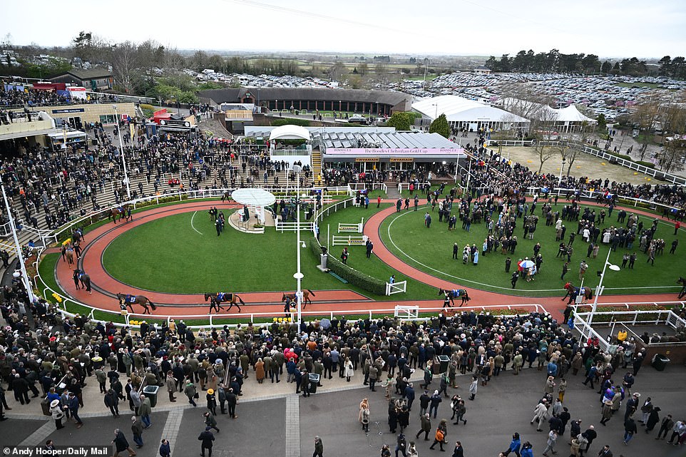 The parade ring at Cheltenham Racecourse has been in preparation for the past week, with 27 races having taken place throughout the festival.