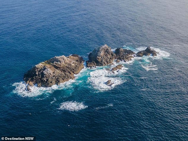 Julian Rocks dive site will be renamed Nguthungulli, meaning Father of the World