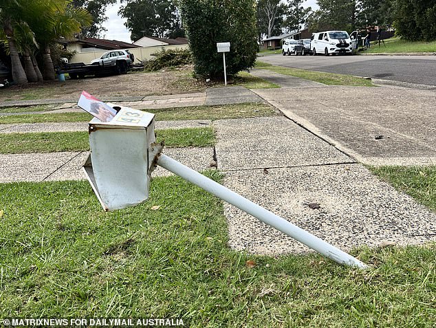 Mailbox outside Porter's house is overturned