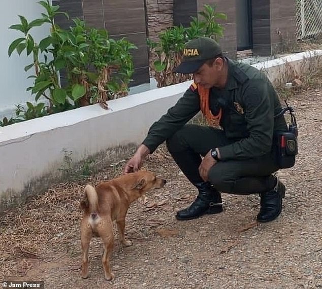 Police attended the village of La Chava, Colombia, to rescue the dog in distress on Saturday March 16 – an investigation is currently underway.