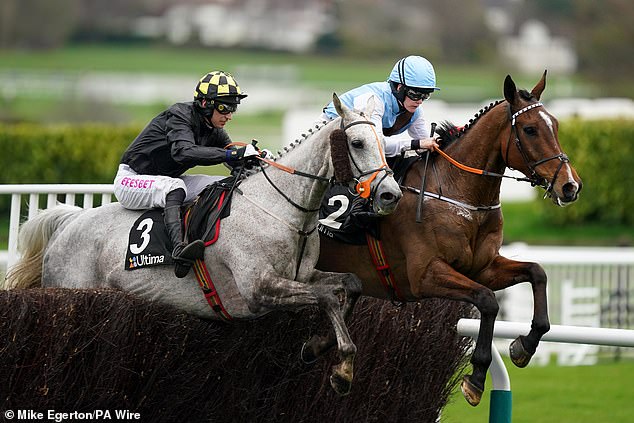 Highland Hunter (left) also suffered a fatal fall in March, during the Ultima Handicap Chase at Cheltenham.