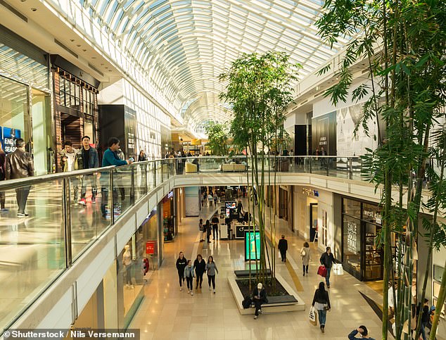The TikTok video also made many Australians wonder what American shopping malls look like (stock image)