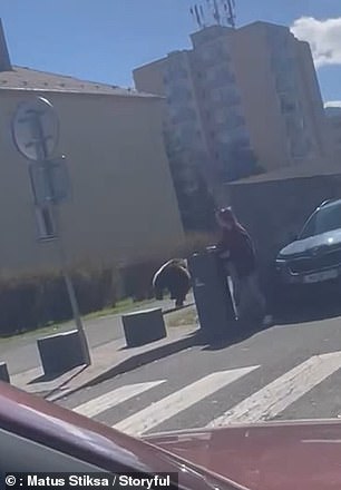 Terrified residents filmed the animal running through the streets