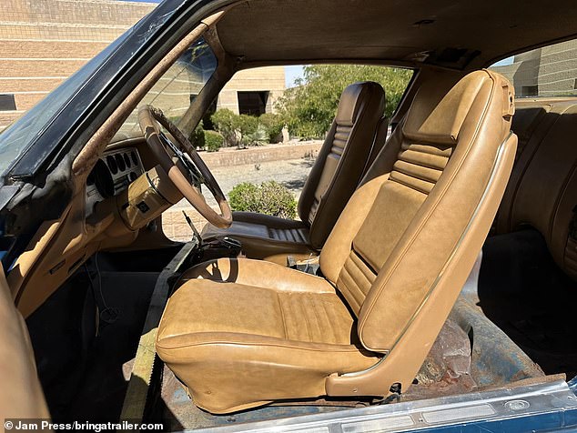 Somehow, even after almost 40 years in the barn, the seats still appear to be in good shape.