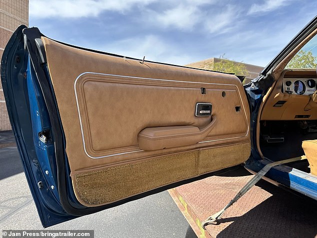 As with the seats, the inside of the door still appears to be in good condition, with very little wear.