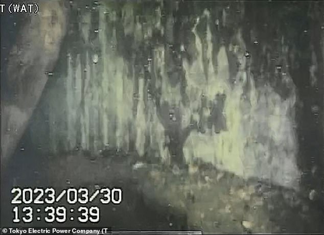 TEPCO officials said they were unable to determine from the images whether the dangling pieces were melted fuel or melted equipment without obtaining other data such as radiation levels.