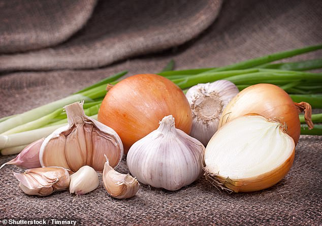 Onions and garlic can be toxic to dogs, according to Purina, a pet food company (stock image)
