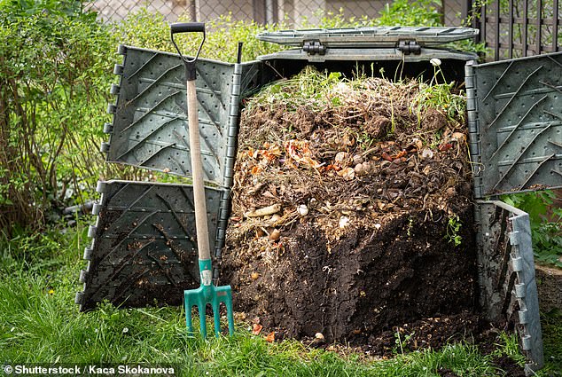 Incorporating rich organic matter into the soil, such as compost, fertilizer or manure, is another essential practice to enrich its quality (Photo: Shutterstock)