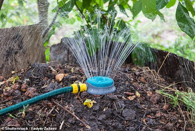 It's important to pay attention to your watering practices to avoid soil compaction and nutrient loss (Photo: Shutterstock)