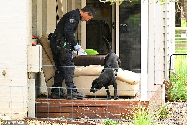 The specialist dogs were used during a search of the Leongatha home belonging to accused murderer Erin Patterson last November (pictured)