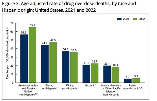 The above shows the drug overdose death rate from 2021 to 2022 by ethnic group.