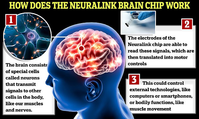 The Neuralink chip works by inserting very fine wires into parts of the brain to measure its activity. The device then sends these signals to computers, allowing the patient to control them remotely.