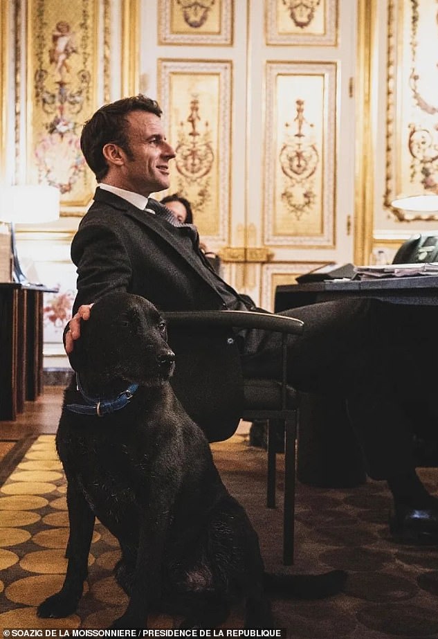 French President Emmanuel Macron pets a dog while sitting at his desk at the Elysée.