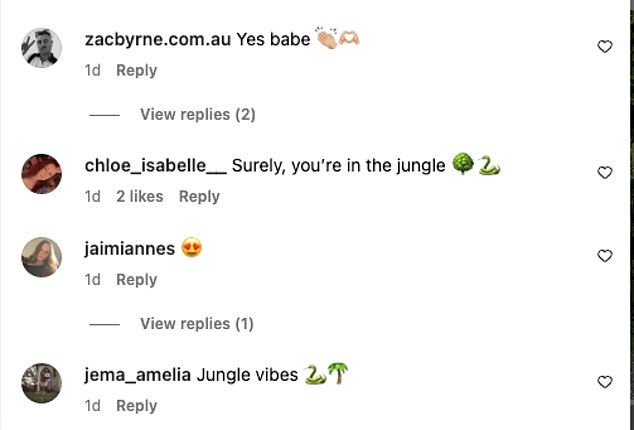 Skye's supporters are also convinced she was heading into the jungle.
