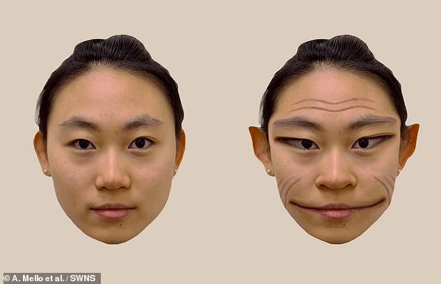 The researchers took a photo of a person's face. They then showed the patient the photograph on a computer screen while he looked at the same person's real face.