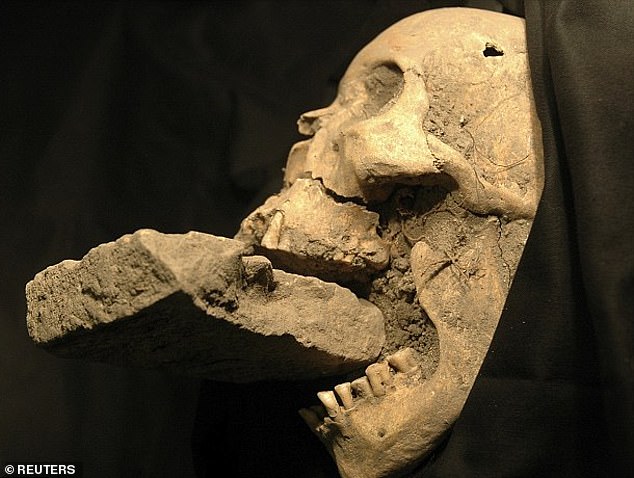 The remains of a 16th-century Venetian “vampire” buried with a brick in her mouth, allegedly to prevent her from feasting on plague victims.