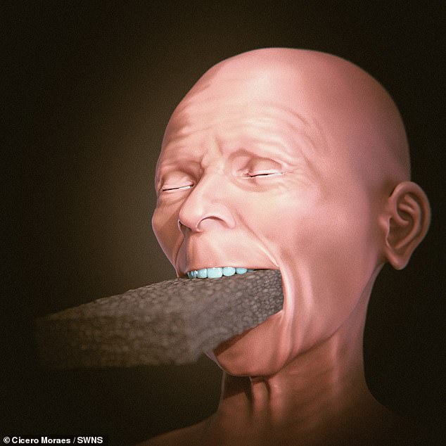 His research also allowed him to test the theory that inserting the brick might even have been possible without damaging the mouth and teeth.