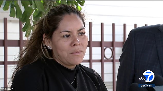 Mejia's mother Maria Juarez and her attorney Luis Carrillo told ABC7 they believe her death is due to the injury sustained in the fight.