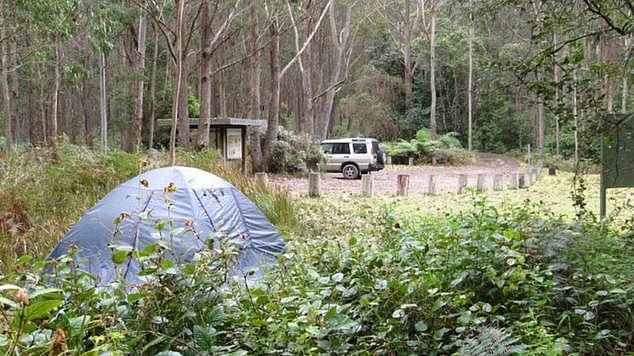 The pair were left wandering in the dense bushland of NSW's 6920 hectare Mount Royal National Park without food or water