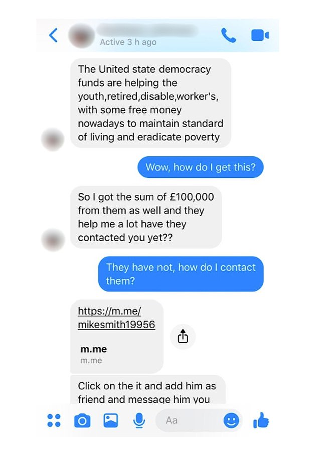 The scammer quickly tried to get Mel's cousin to visit a fake website (Picture Daily Mail)