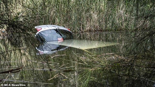 The 60-year-old woman and sole occupant of the vehicle was freed just before the car was completely submerged in the Dee Why lagoon, in the north of Sydney.