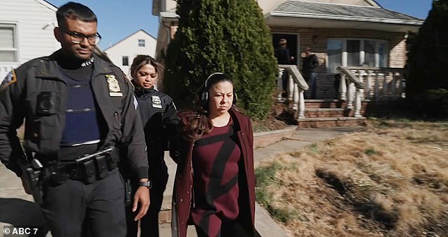 Homeowner Adele Andaloro ended up being arrested after a heated disagreement with squatters at her million-dollar home.