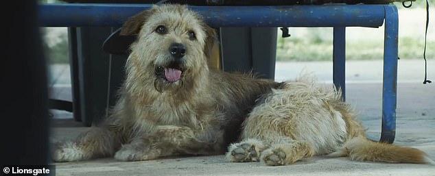 The dog-led film has generated $14.6 million during its two weeks in theaters on a budget of $19 million.