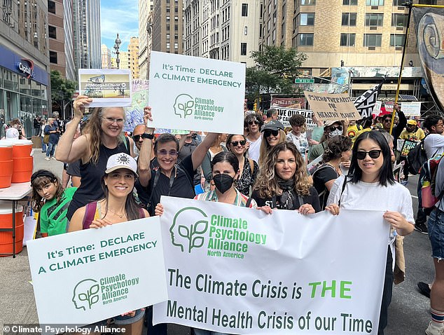 The Climate Psychology Alliance studies how environmental issues such as climate disasters and dangerous air pollution affect people's mental health