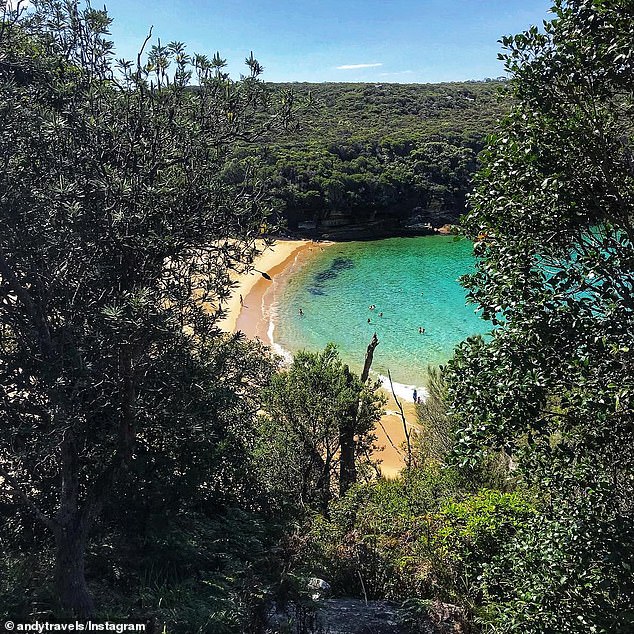 Others noted that a cash-only entrance fee is charged to enter the Royal National Park and that it is only open to the public between 7:00 a.m. and 8:30 p.m.
