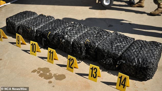 Police allegedly found cocaine worth about $200 million (pictured) during the raid