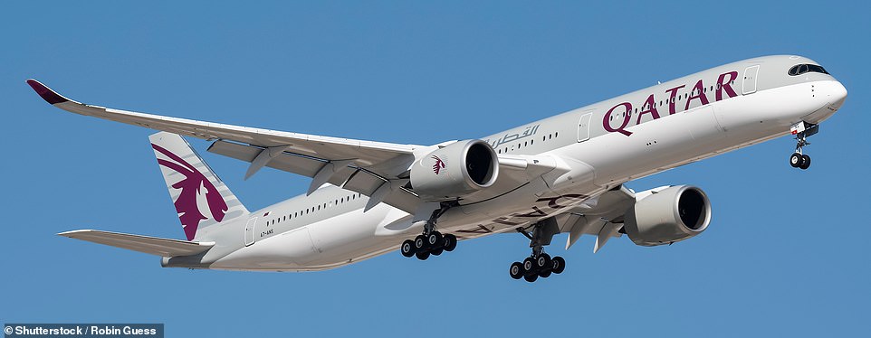 Above is a Qatar Airways Airbus A350-1000, the model in which Harriet flew.