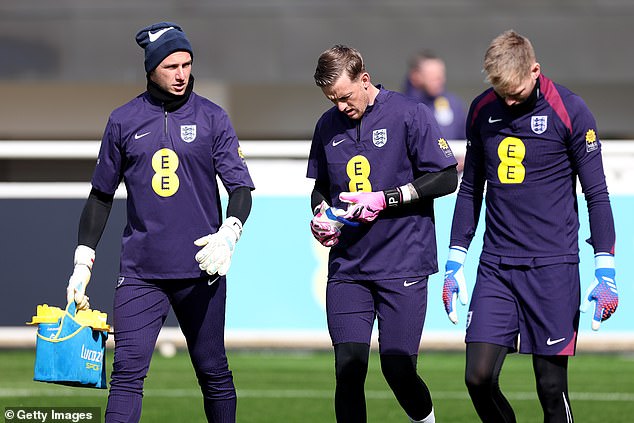 Johnstone (left) was seen as a candidate to go to Germany as a substitute for Jordan Pickford (centre).