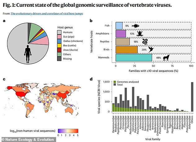 UCL researchers analyzed tens of thousands of viral genomes in public databases. This allowed experts to look at all the information hidden within a virus, including where the virus jumped species. From this, the team was able to determine whether these pathogens passed from humans to animals (anthroponosis) or the other way around (zoonosis). They found that almost two-thirds (64 percent) of the samples they analyzed were transmitted to animals through humans.