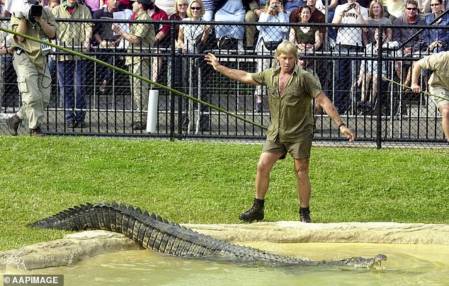 However, in the comments to the Reddit post, another theory emerged involving a fake video. In 2018, Steve's widow, Terri Irwin, confirmed that the video of her husband's death had never been made public, but that a fabrication had gone viral shortly after the tragedy.