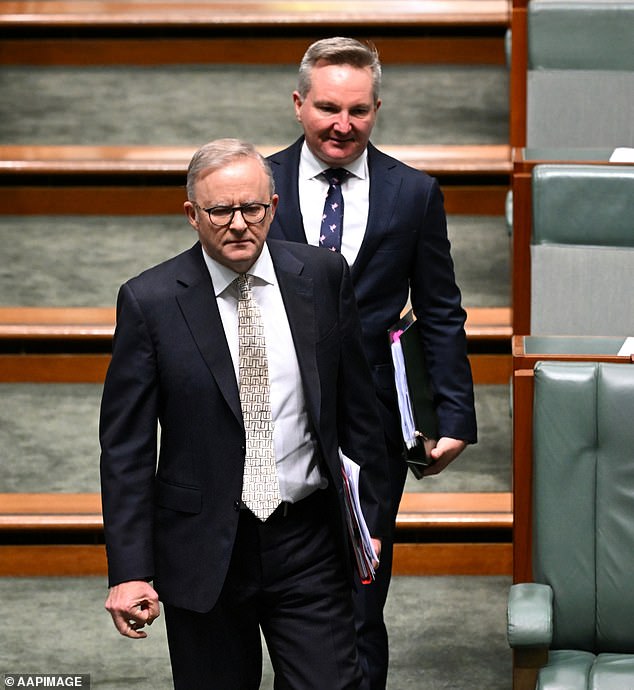 Prime Minister Anthony Albanese became involved in resolving the plan after a similar move in the United States by Joe Biden to ease targets on larger vehicle manufacturers.