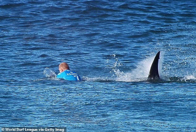 The three-time world champion battled a great white shark while competing in South Africa in July 2015 (pictured).