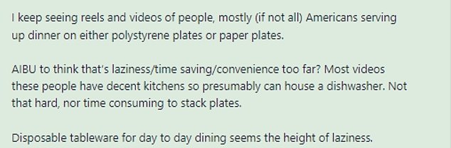 This Brit was amazed that so many Americans online chose to use paper plates rather than ceramic plates in their daily lives.