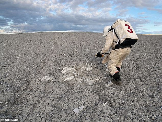 A researcher carrying out a simulation in Haughton Crater, Devon Island. NASA technicians simulate possible mission emergencies in a desolate place