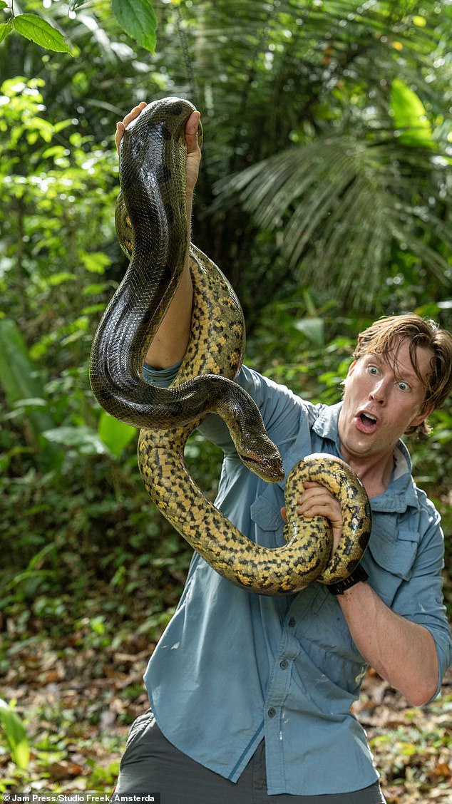 1711484770 511 Worlds largest snake is shot dead by sick hunters in