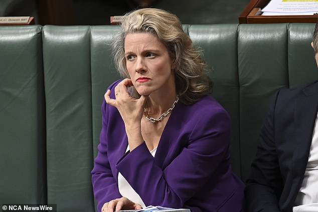 The Government's Home Affairs Minister Clare O'Neil came under fire this month after it was revealed she relied solely on verbal advice for the High Court's previous ruling.