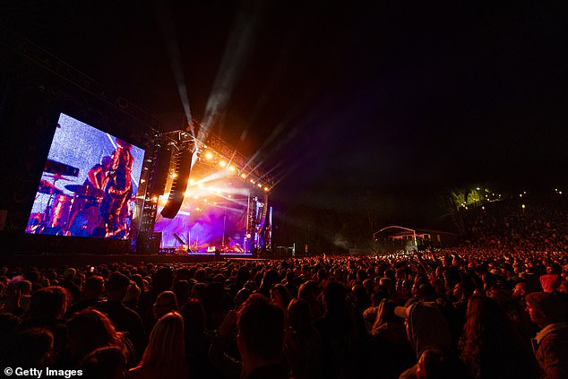 A source claimed the festival's cancellation was likely due to poor ticket sales, after the 2023 event saw a 30 per cent drop in sales (pictured: 2023 music festival).