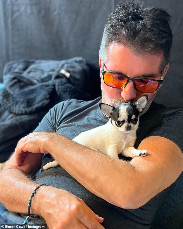 The music mogul, 64, known for his love of dogs, currently lives with his fiancée Lauren Silverman, their 10-year-old son Eric, and five dogs. And now the family has a new resident, a pet Chihuahua, which Simon showed off in a series of adorable Instagram snaps on Tuesday.