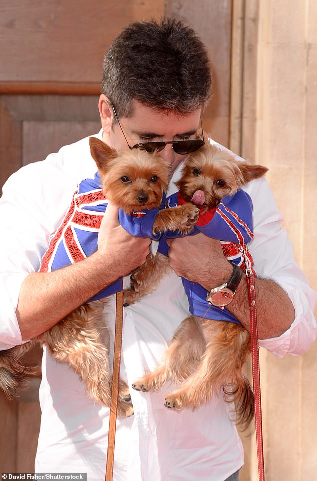 1711536826 865 Simon Cowell shares adorable snaps with his sixth pet pooch