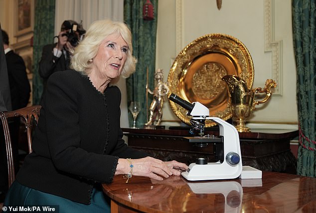 Queen Camilla looking at a microscope during a reception to commemorate the findings of a new research study commissioned by The Queen's Reading Room charity.