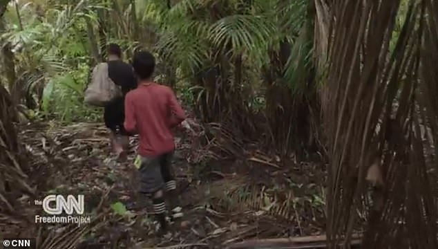 The short film, commissioned by CNN's Freedom Project, takes viewers to the heart of the Amazon in Brazil, where the small black and purple fruits are found.
