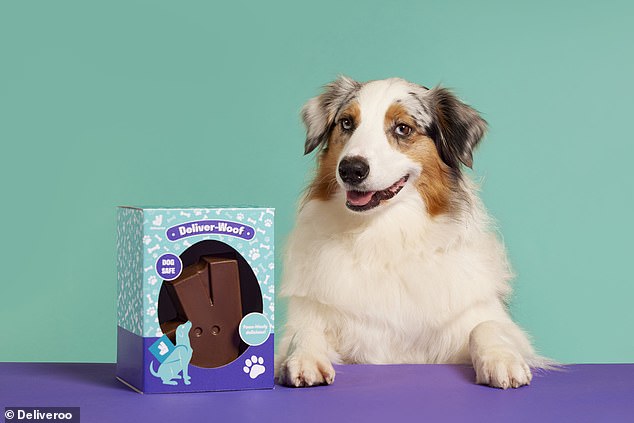 Adorable! All medium and large breeds over three months old can enjoy this treat.