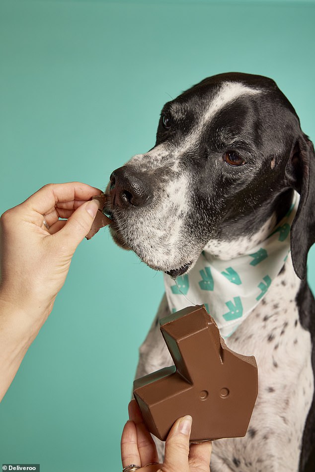 Deliveroo launches Deliver-Woof, a limited edition dog-friendly chocolate egg - made from 100% natural, dog-safe ingredients, just in time for Easter