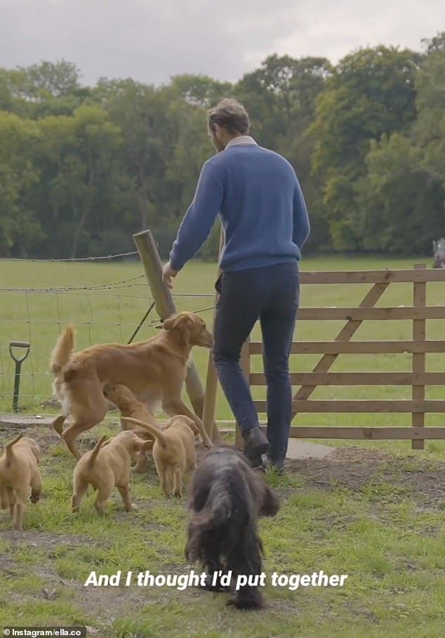 The father-of-one filmed himself alongside his dog Isla and several adorable Labrador puppies as he ran around his sprawling family garden, which he shares with his wife, Alizeé, and little son Inigo.