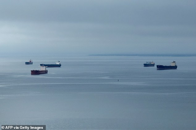 This aerial image shows container ships anchored in the Chesapeake Bay off Annapolis.